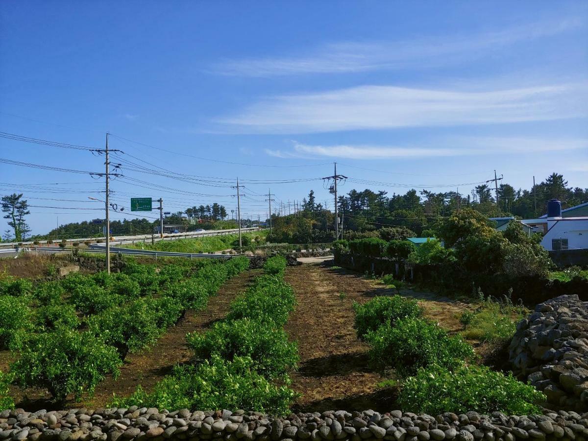 Orchard Samdal Vila Seogwipo Exterior foto